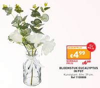 Promoties Bloemstuk eucalyptus in pot - Huismerk - Trafic  - Geldig van 08/05/2024 tot 11/05/2024 bij Trafic
