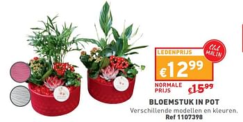 Promoties Bloemstuk in pot - Huismerk - Trafic  - Geldig van 08/05/2024 tot 11/05/2024 bij Trafic