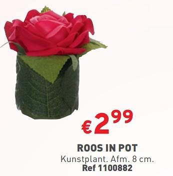 Promoties Roos in pot - Huismerk - Trafic  - Geldig van 08/05/2024 tot 11/05/2024 bij Trafic