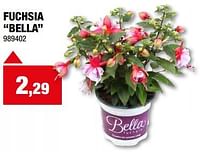 Fuchsia bella-Huismerk - Hubo 