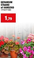 Promoties Geranium staand of hangend - Huismerk - Hubo  - Geldig van 08/05/2024 tot 19/05/2024 bij Hubo