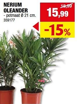 Promoties Nerium oleander - Huismerk - Hubo  - Geldig van 08/05/2024 tot 19/05/2024 bij Hubo