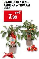 Promoties Snackgroenten - paprika of tomaat - Huismerk - Hubo  - Geldig van 08/05/2024 tot 19/05/2024 bij Hubo