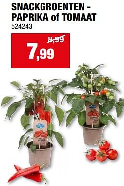 Promotions Snackgroenten - paprika of tomaat - Produit maison - Hubo  - Valide de 08/05/2024 à 19/05/2024 chez Hubo