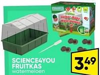 Science4you fruitkas-Huismerk - Big Bazar