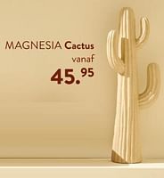Promoties Magnesia cactus - Huismerk - Casa - Geldig van 02/05/2024 tot 14/06/2024 bij Casa