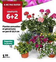Promotions Plantes annuelles et géraniums en pot - Produit maison - Aveve - Valide de 08/05/2024 à 19/05/2024 chez Aveve