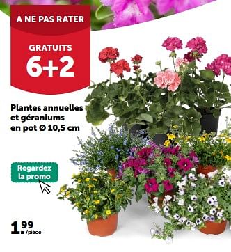 Promotions Plantes annuelles et géraniums en pot - Produit maison - Aveve - Valide de 08/05/2024 à 19/05/2024 chez Aveve