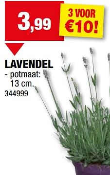 Promotions Lavendel - Produit maison - Hubo  - Valide de 08/05/2024 à 19/05/2024 chez Hubo