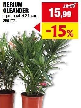 Promoties Nerium oleander - Huismerk - Hubo  - Geldig van 08/05/2024 tot 19/05/2024 bij Hubo