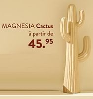 Promotions Magnesia cactus - Produit maison - Casa - Valide de 02/05/2024 à 14/06/2024 chez Casa