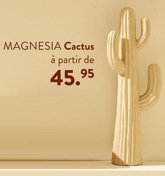 Promoties Magnesia cactus - Huismerk - Casa - Geldig van 02/05/2024 tot 14/06/2024 bij Casa