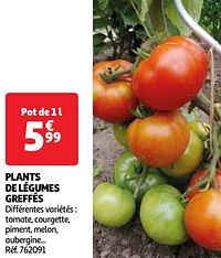 Plants de légumes greffés-Huismerk - Auchan