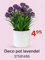 Promoties Deco pot lavendel - Huismerk - Euroshop - Geldig van 03/05/2024 tot 09/06/2024 bij Euro Shop