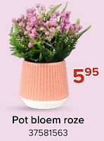 Promoties Pot bloem roze - Huismerk - Euroshop - Geldig van 03/05/2024 tot 09/06/2024 bij Euro Shop