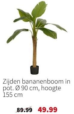 Promoties Zijden bananenboom in pot - Huismerk - Intratuin - Geldig van 13/05/2024 tot 19/05/2024 bij Intratuin