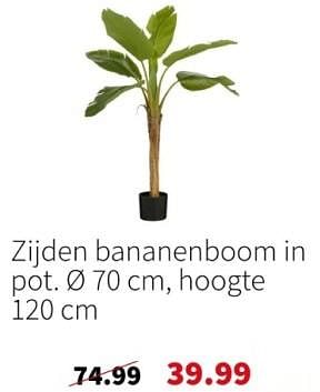 Promoties Zijden bananenboom in pot - Huismerk - Intratuin - Geldig van 13/05/2024 tot 19/05/2024 bij Intratuin