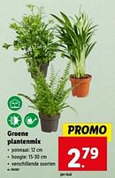 Promoties Groene plantenmix - Huismerk - Lidl - Geldig van 15/05/2024 tot 21/05/2024 bij Lidl