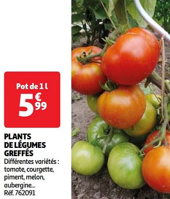 Promotions Plants de légumes greffés - Produit Maison - Auchan Ronq - Valide de 07/05/2024 à 13/05/2024 chez Auchan Ronq