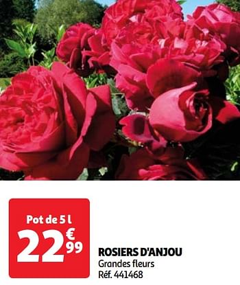 Promotions Rosiers d`anjou - Produit Maison - Auchan Ronq - Valide de 07/05/2024 à 13/05/2024 chez Auchan Ronq