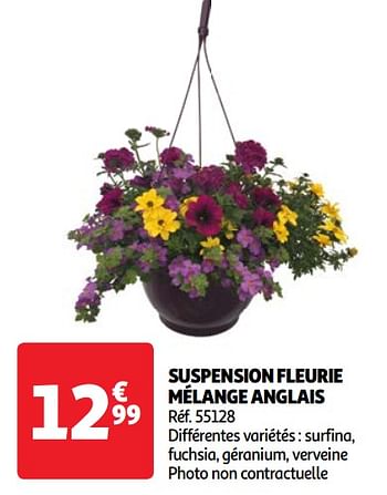 Promoties Suspension fleurie mélange anglais - Huismerk - Auchan - Geldig van 07/05/2024 tot 13/05/2024 bij Auchan