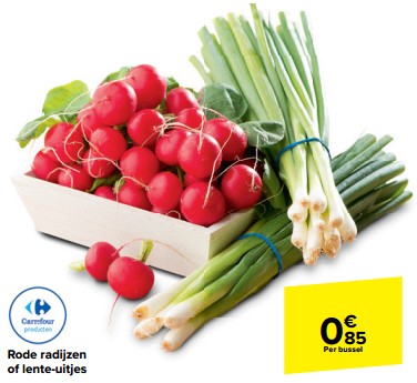 Promoties Rode radijzen of lente uitjes - Huismerk - Carrefour  - Geldig van 15/05/2024 tot 27/05/2024 bij Carrefour