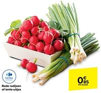 Rode radijzen of lente uitjes-Huismerk - Carrefour 