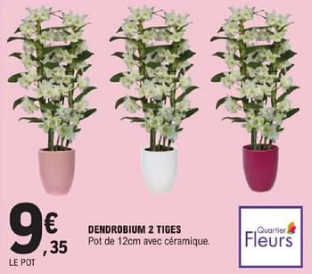 Promotions Dendrobium 2 tiges - Produit Maison - E.Leclerc - Valide de 14/05/2024 à 25/05/2024 chez E.Leclerc
