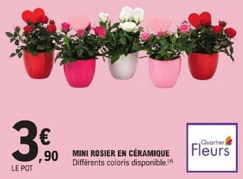 Promotions Mini rosier en céramique - Produit Maison - E.Leclerc - Valide de 14/05/2024 à 25/05/2024 chez E.Leclerc