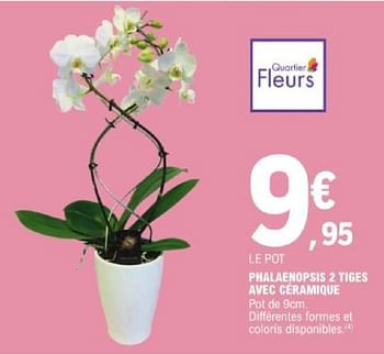 Promotions Phalaenopsis 2 tiges avec céramique - Produit Maison - E.Leclerc - Valide de 14/05/2024 à 25/05/2024 chez E.Leclerc