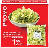 Promotions Laitue avec ciboulette planty fresh - Produit maison - Alvo - Valide de 08/05/2024 à 14/05/2024 chez Alvo