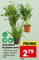 Promotions Assortiment de plantes vertes - Produit maison - Lidl - Valide de 15/05/2024 à 21/05/2024 chez Lidl