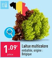 Promotions Laitue multicolore - Produit maison - Aldi - Valide de 20/05/2024 à 26/05/2024 chez Aldi