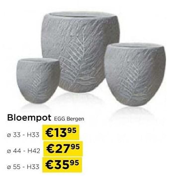 Promoties Bloempot egg bergen - Huismerk - Molecule - Geldig van 09/05/2024 tot 20/05/2024 bij Molecule