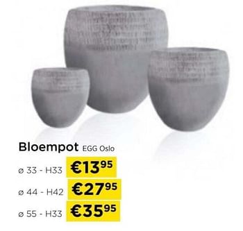 Promoties Bloempot egg oslo - Huismerk - Molecule - Geldig van 09/05/2024 tot 20/05/2024 bij Molecule