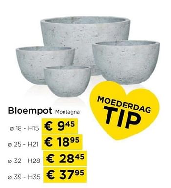 Promoties Bloempot montagna - Huismerk - Molecule - Geldig van 09/05/2024 tot 20/05/2024 bij Molecule