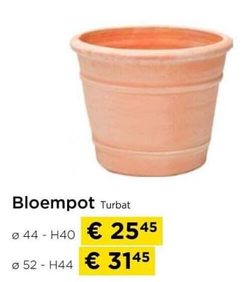 Promoties Bloempot turbat - Huismerk - Molecule - Geldig van 09/05/2024 tot 20/05/2024 bij Molecule