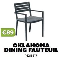Promoties Oklahoma dining fauteuil - Huismerk - Europoint - Geldig van 20/05/2024 tot 30/06/2024 bij Europoint