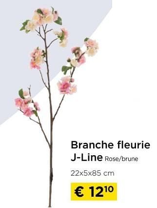 Promotions Branche fleurie j-line - J-line - Valide de 09/05/2024 à 20/05/2024 chez Molecule