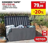 Promoties Kussenbox capri - Keter - Geldig van 15/05/2024 tot 26/05/2024 bij Hubo
