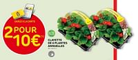 Promotions Clayette de 6 plantes annuelles - Produit maison - Brico - Valide de 15/05/2024 à 27/05/2024 chez Brico