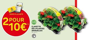 Promotions Clayette de 6 plantes annuelles - Produit maison - Brico - Valide de 15/05/2024 à 27/05/2024 chez Brico