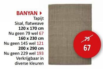 Promoties Banyan tapijt - Huismerk - Weba - Geldig van 17/05/2024 tot 27/06/2024 bij Weba