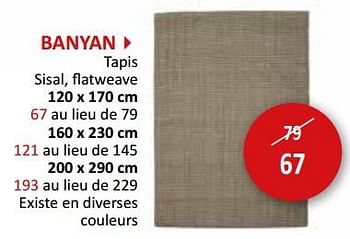 Promotions Banyan tapis - Produit maison - Weba - Valide de 17/05/2024 à 27/06/2024 chez Weba