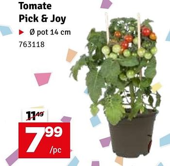 Promotions Tomate pick + joy - Produit maison - Mr. Bricolage - Valide de 21/05/2024 à 02/06/2024 chez Mr. Bricolage