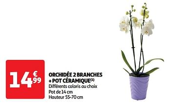 Promoties Orchidée 2 branches + pot céramique - Huismerk - Auchan - Geldig van 22/05/2024 tot 26/05/2024 bij Auchan
