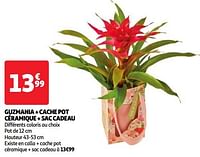 Promotions Guzmania + cache pot céramique + sac cadeau - Produit Maison - Auchan Ronq - Valide de 22/05/2024 à 27/05/2024 chez Auchan Ronq