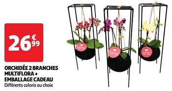 Promoties Orchidée 2 branches multiflora + emballage cadeau - Huismerk - Auchan - Geldig van 22/05/2024 tot 27/05/2024 bij Auchan