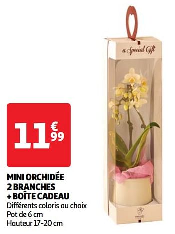 Promotions Mini orchidée 2 branches + boîte cadeau - Produit Maison - Auchan Ronq - Valide de 22/05/2024 à 27/05/2024 chez Auchan Ronq