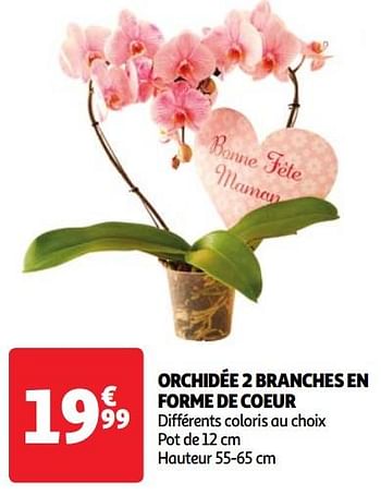 Promotions Orchidée 2 branches en forme de coeur - Produit Maison - Auchan Ronq - Valide de 22/05/2024 à 27/05/2024 chez Auchan Ronq